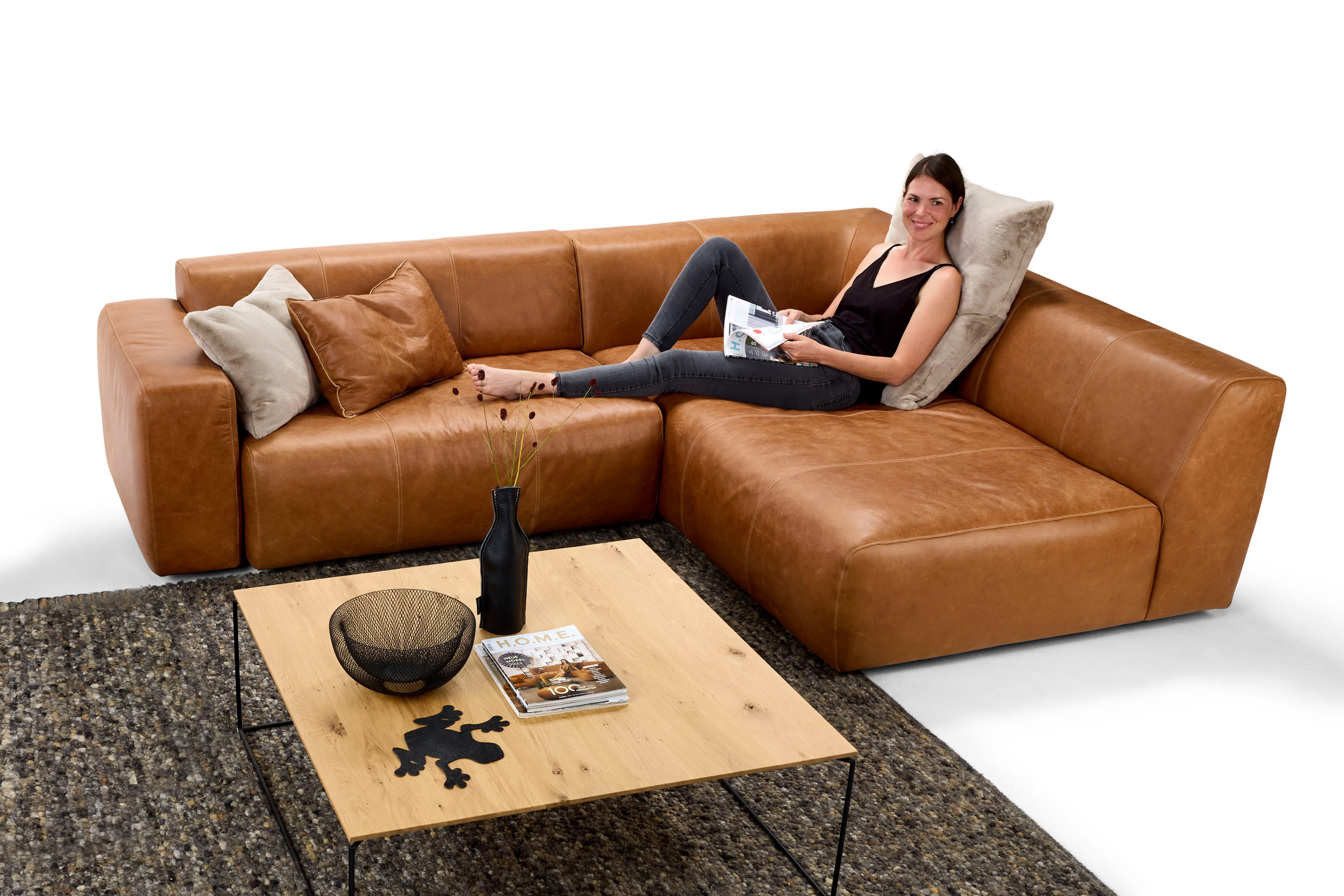 Bullfrog sofa online